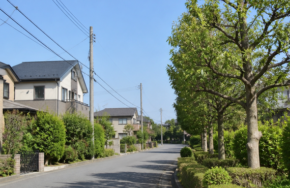 白岡市の土地売却｜W査定と司法書士・税理士・処分までワンストップ｜TSマネジメント
